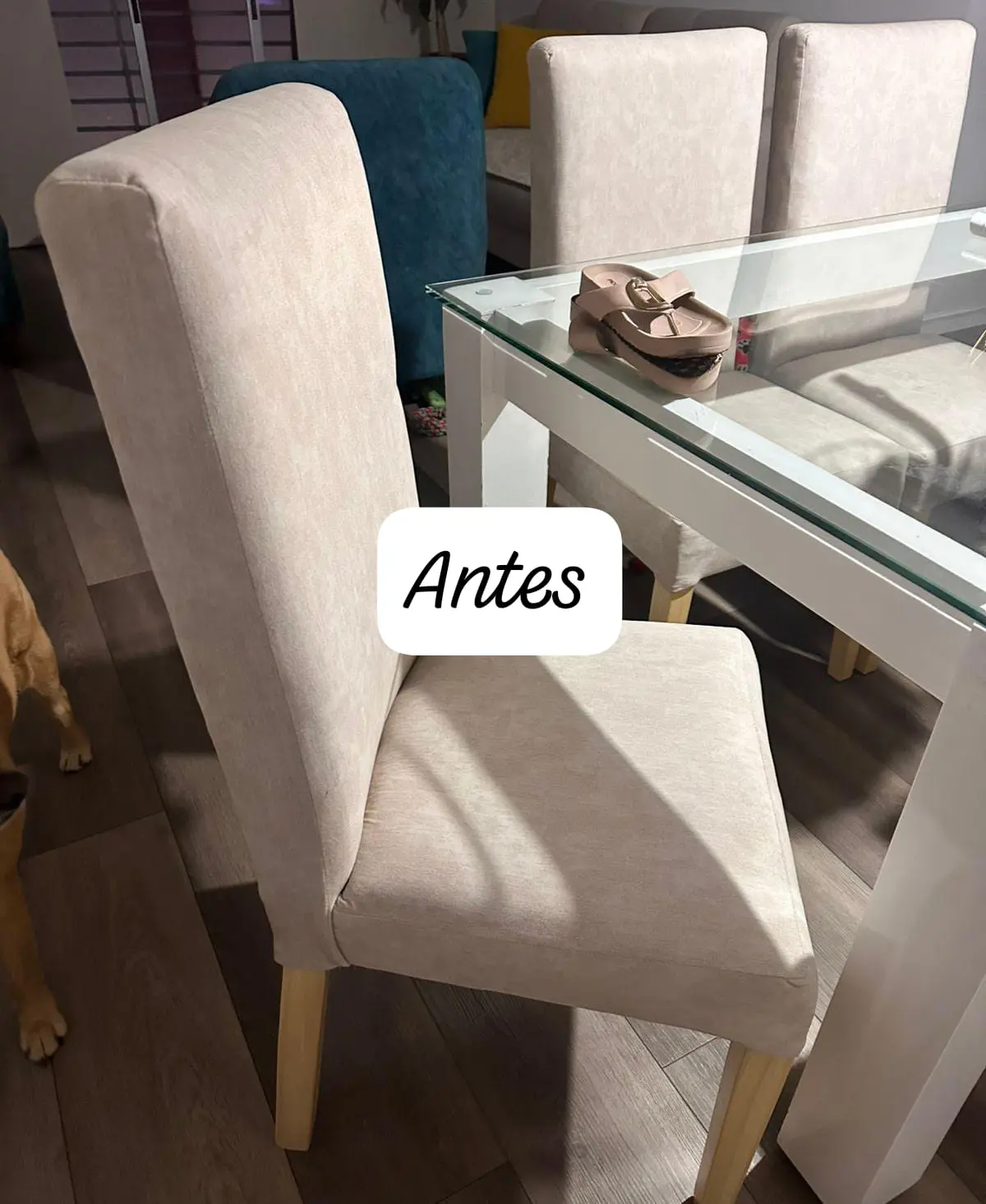 Trabajo de Tapicería de Muebles - César Agusto García